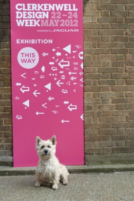 Stanley (the inspiration behind the Bark name) gives Clerkenwell Design Week his seal of approval